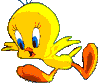 81