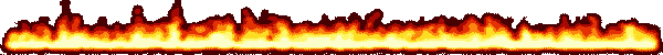 feuerlinie